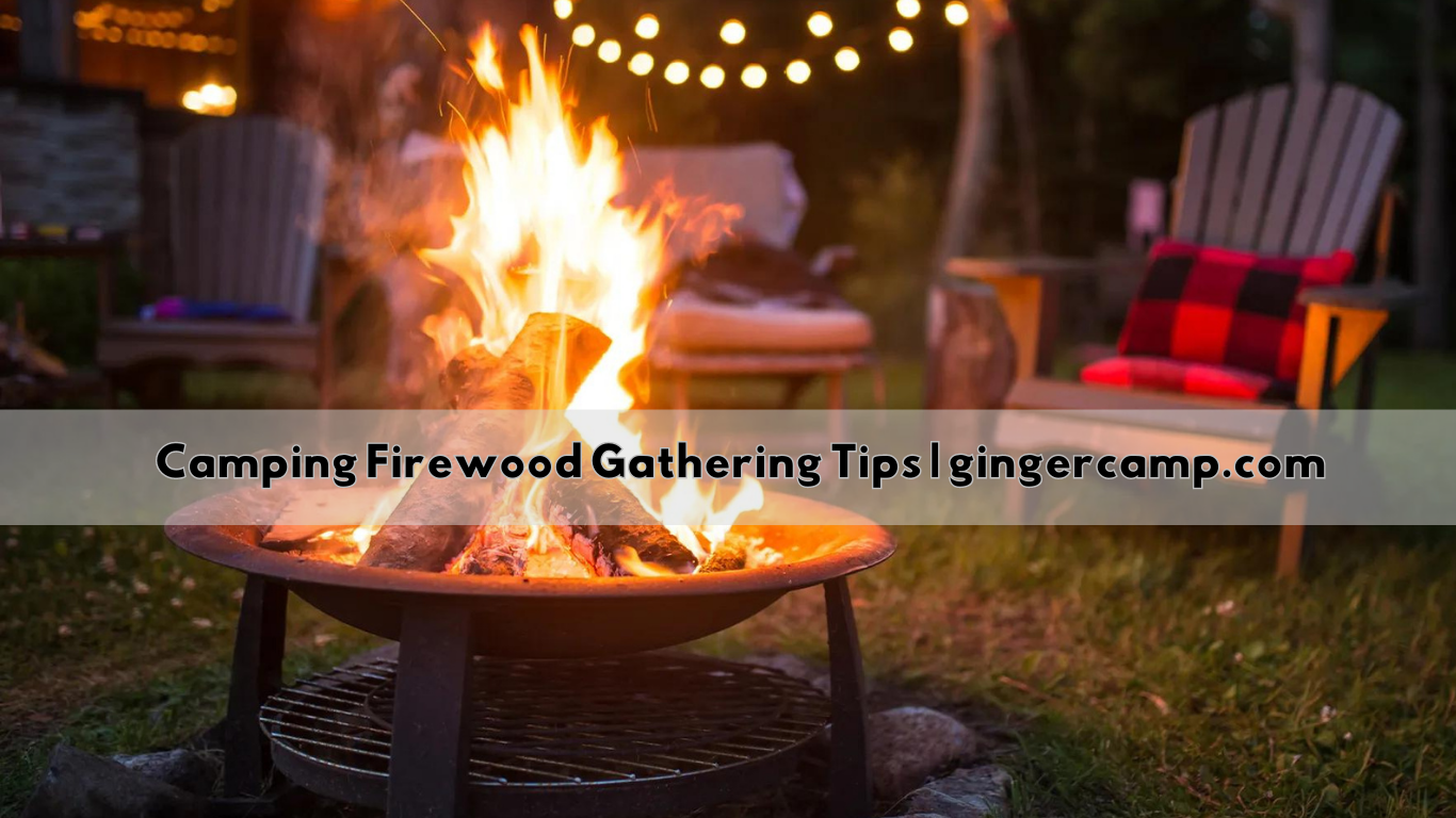 Camping Firewood Gathering Tips