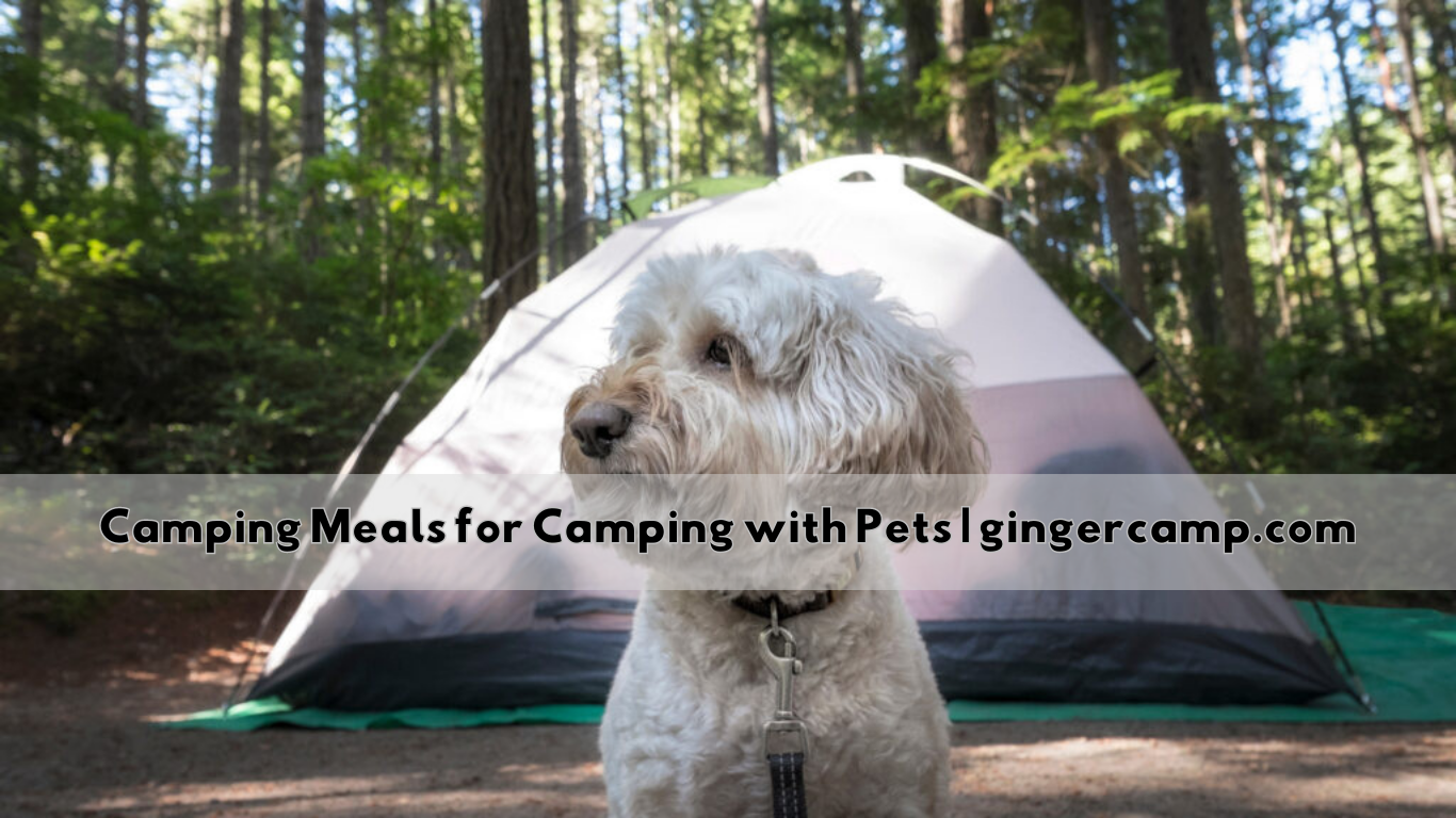Camping Meals for Camping with Pets