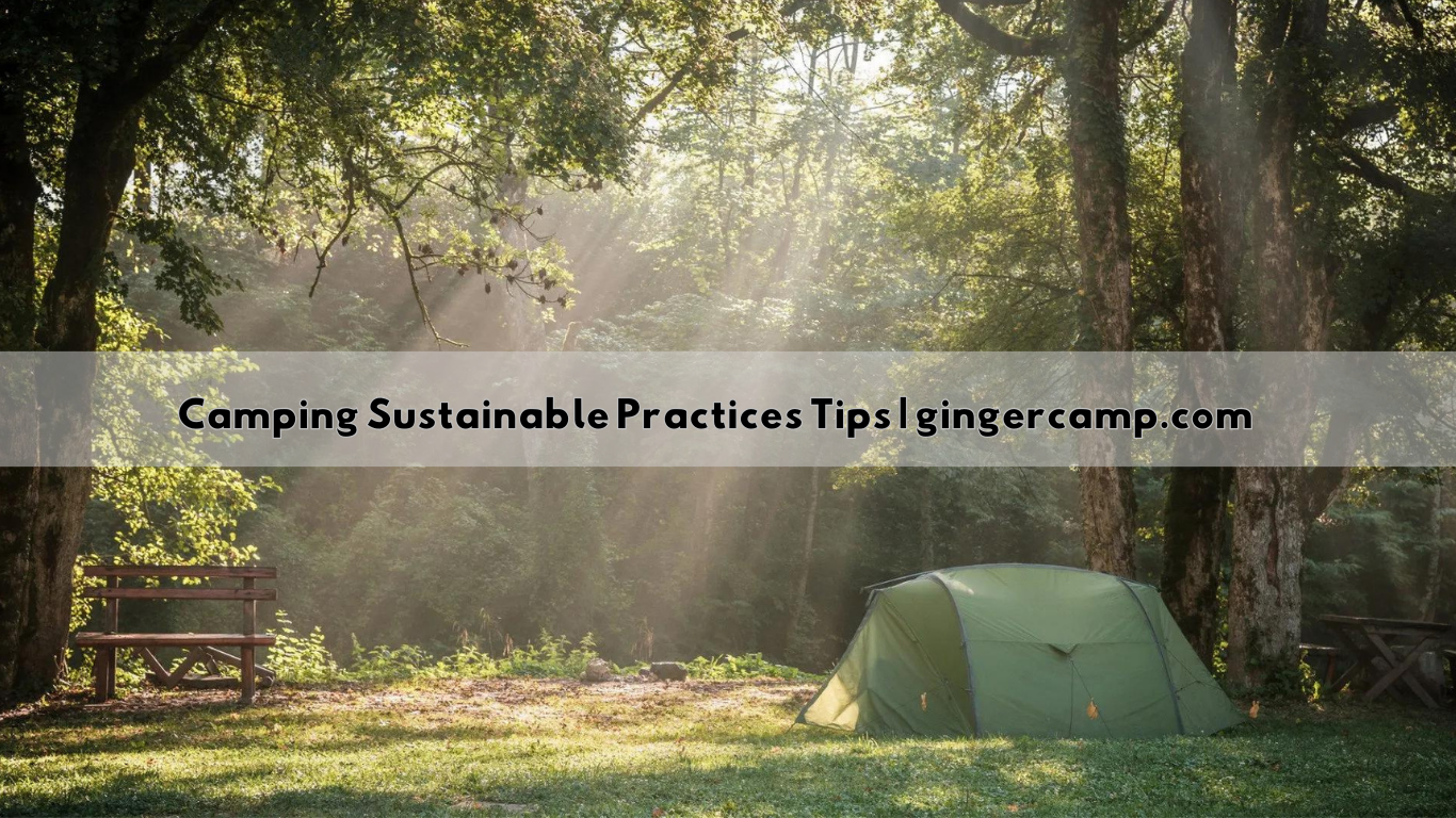 Camping Sustainable Practices Tips