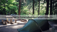 Essential Tips for Camping Beginners